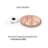 Rare Earth Magnets