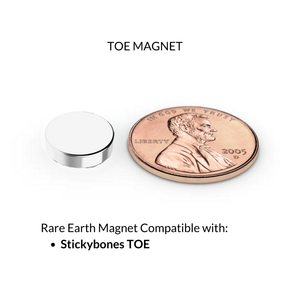 Rare Earth Magnets