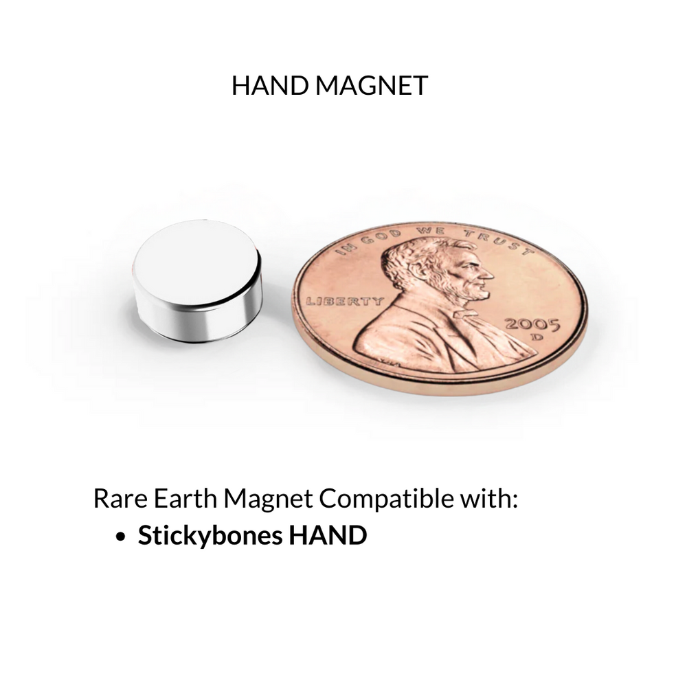 Rare Earth Magnets